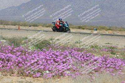 media/Feb-04-2023-SoCal Trackdays (Sat) [[8a776bf2c3]]/Turn 15 Inside Blooming (1050am)/